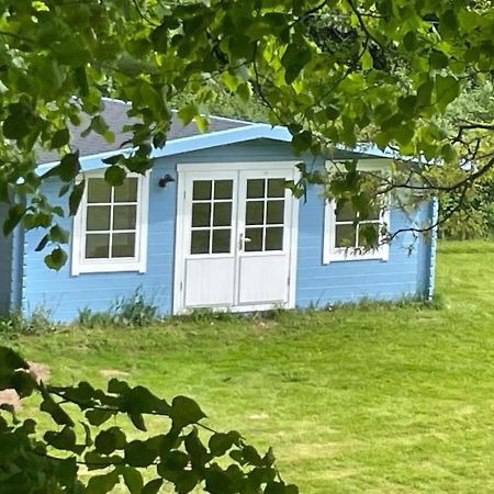 Oak View Lodge - Cosy, Countryside Retreat Maybole Exteriér fotografie